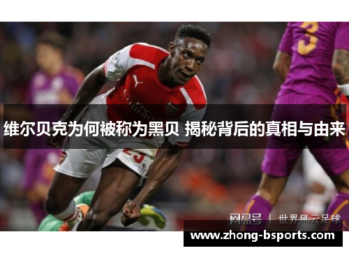 维尔贝克为何被称为黑贝 揭秘背后的真相与由来