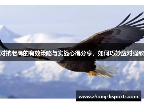 对抗老鹰的有效策略与实战心得分享，如何巧妙应对强敌
