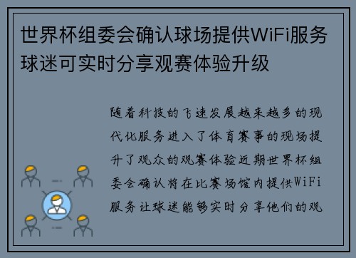 世界杯组委会确认球场提供WiFi服务球迷可实时分享观赛体验升级