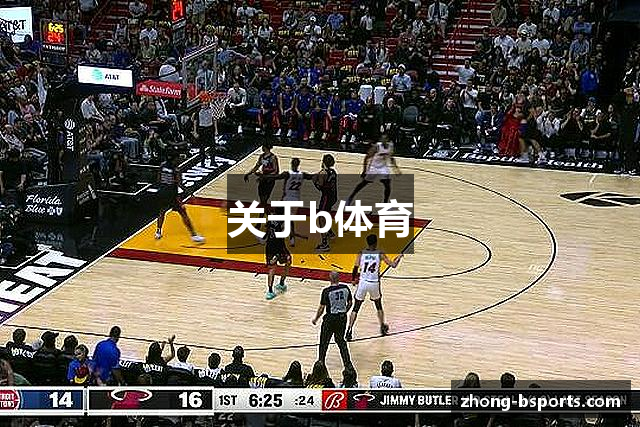 关于b体育